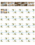 Bible Sticker Tabs for All 66 Books of the Bible (Instant Download)